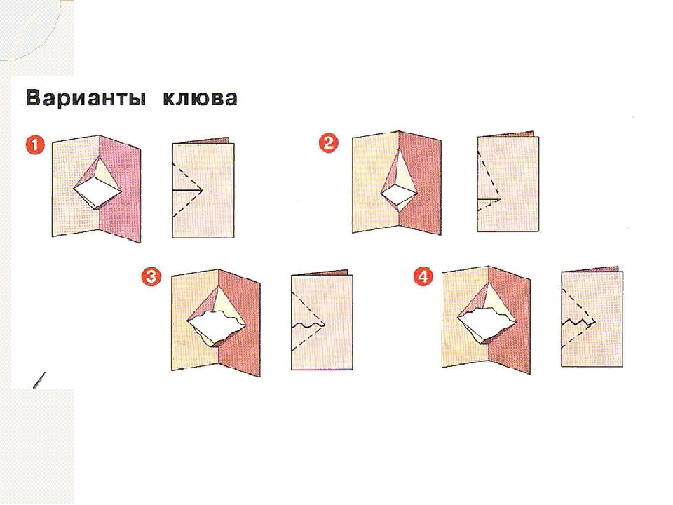 Сделать плоский. Превращение плоского в объемное.. Попугай технология 2 класс. Говорящий попугай технология 2 класс. Технология второй класс попугай.